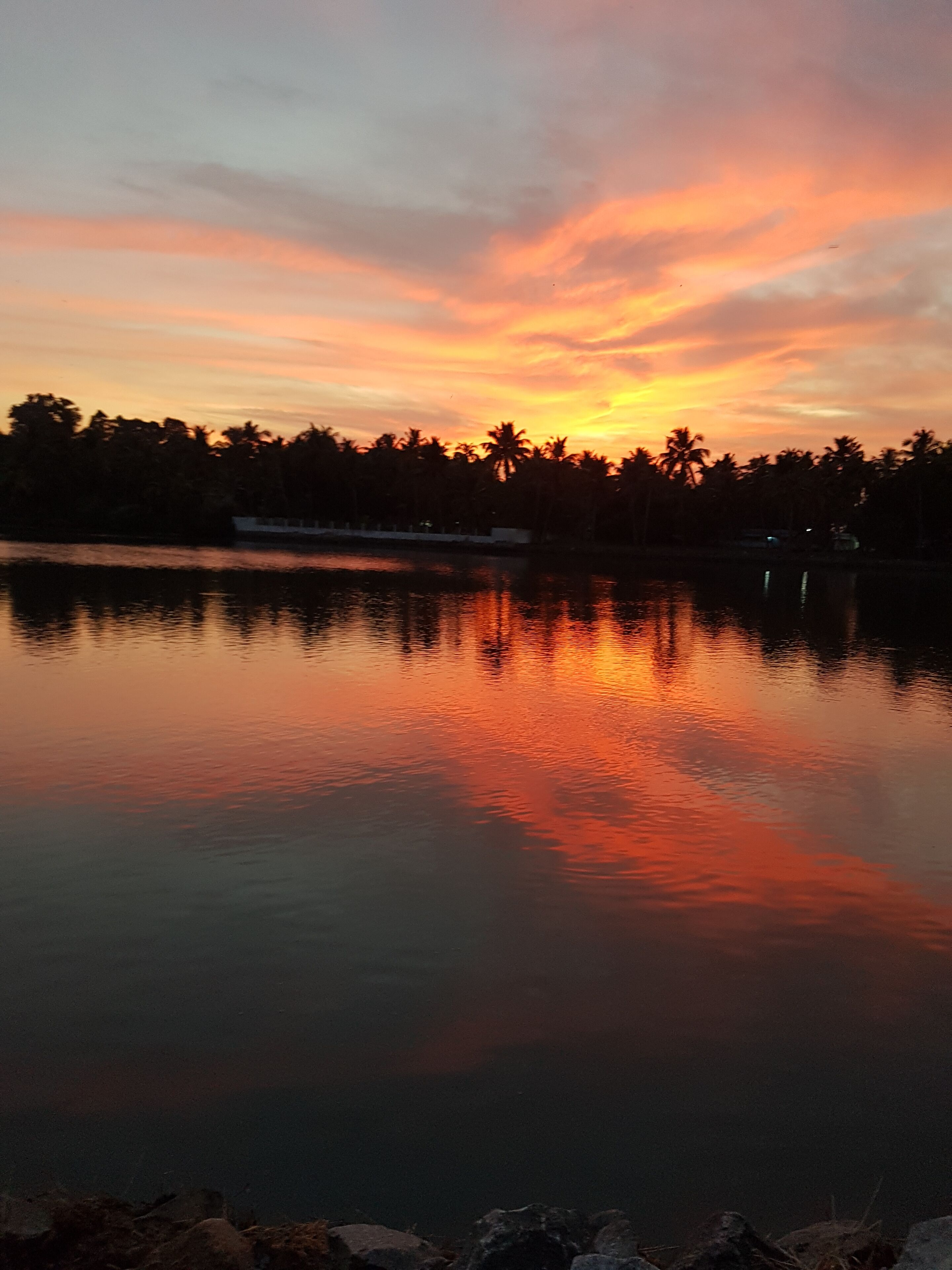 Un lago sereno reflejando un cielo de atardecer, con siluetas de palmeras y un barco a lo lejos.
