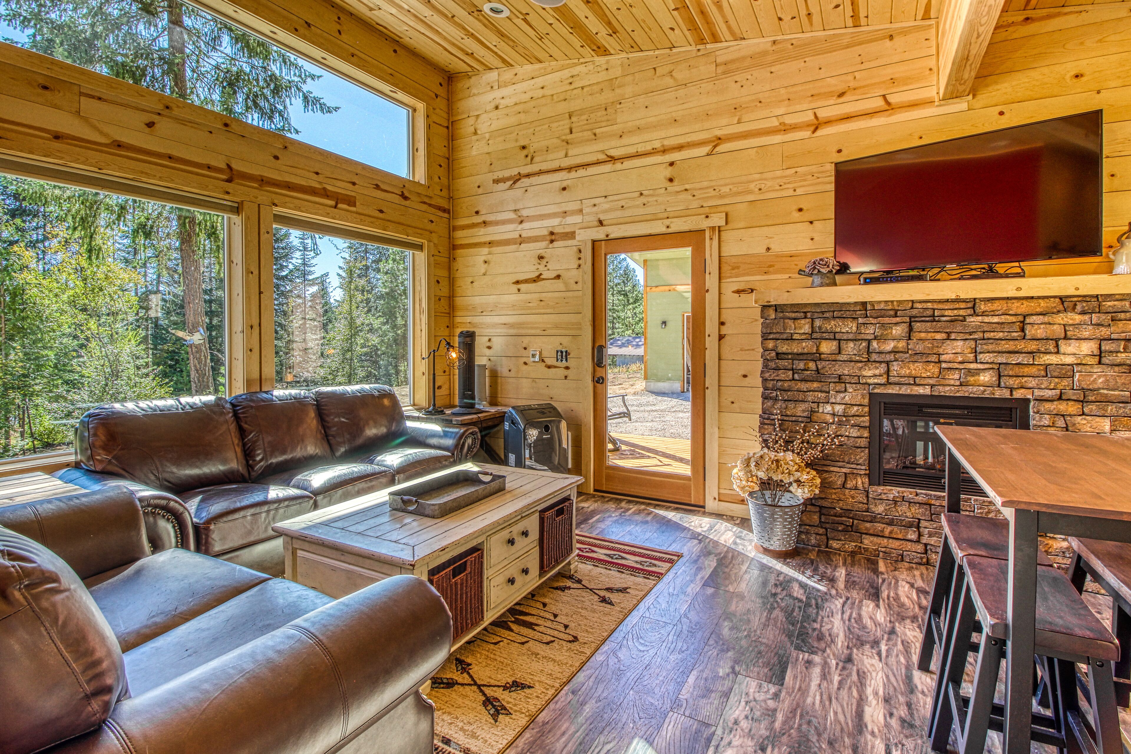 电视、壁炉、DVD 播放器、书