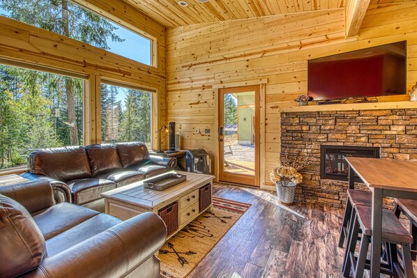 Télévision, cheminée, lecteur de DVD, livres