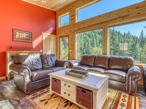TV, fireplace, DVD player, books