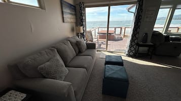 Smart TV, fireplace, DVD player, books