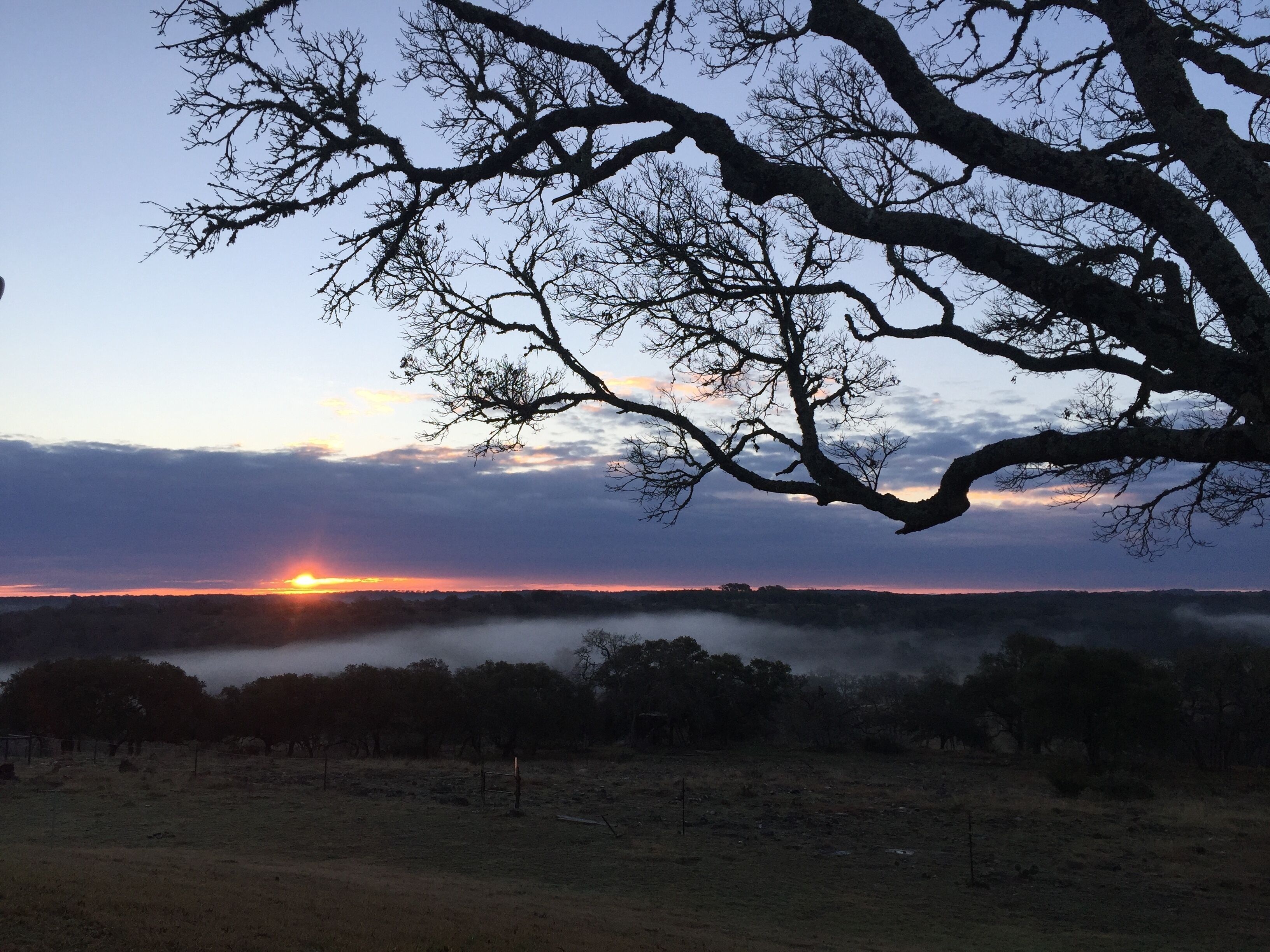 A sunset over a foggy landscape with bare trees and a clear sky.