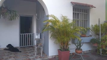 Terassi/patio