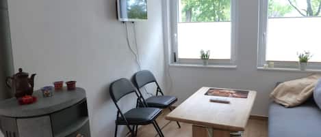 Smart TV, fireplace, books