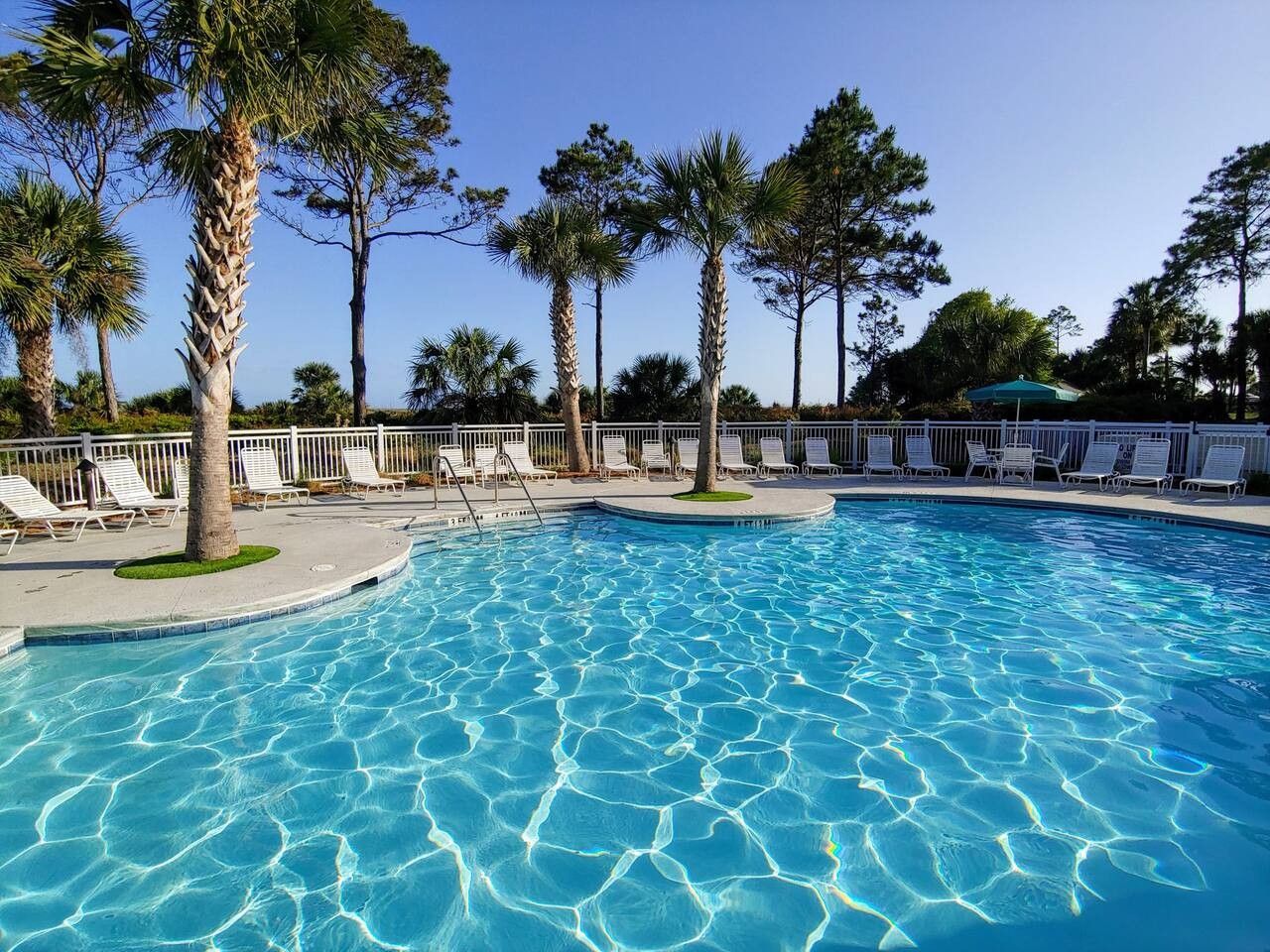 A swimming pool with clear water, surrounded by palm trees and lounge chairs.