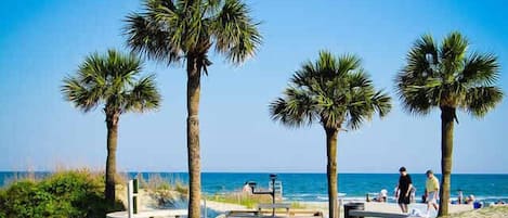 Accommodatie ligt op het strand