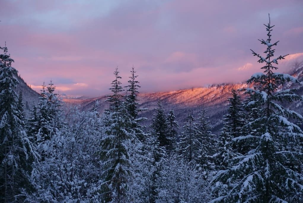 A snowy forest with a mountain range in the background.