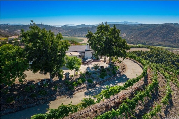 BEUTIFUL VINEYARD PROPERY