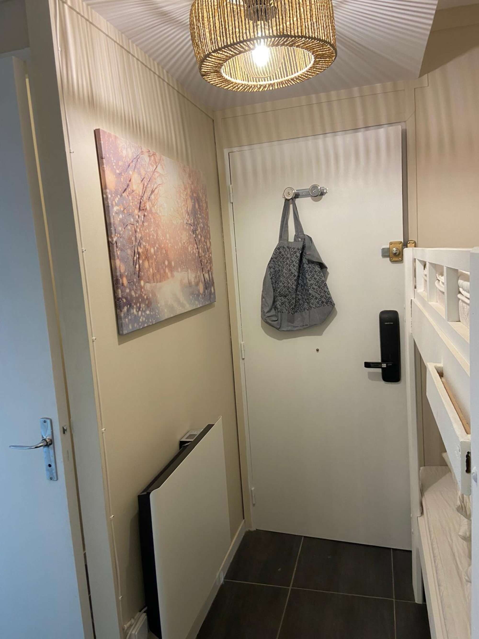 A hallway with a white door, a hanging bag, a painting, and a ceiling light fixture.