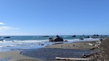 沙滩椅、沙滩毛巾