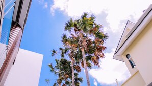 A modern building with a clear sky and palm trees. - Villa Damar Canggu by Nagisa Bali (Canggu)