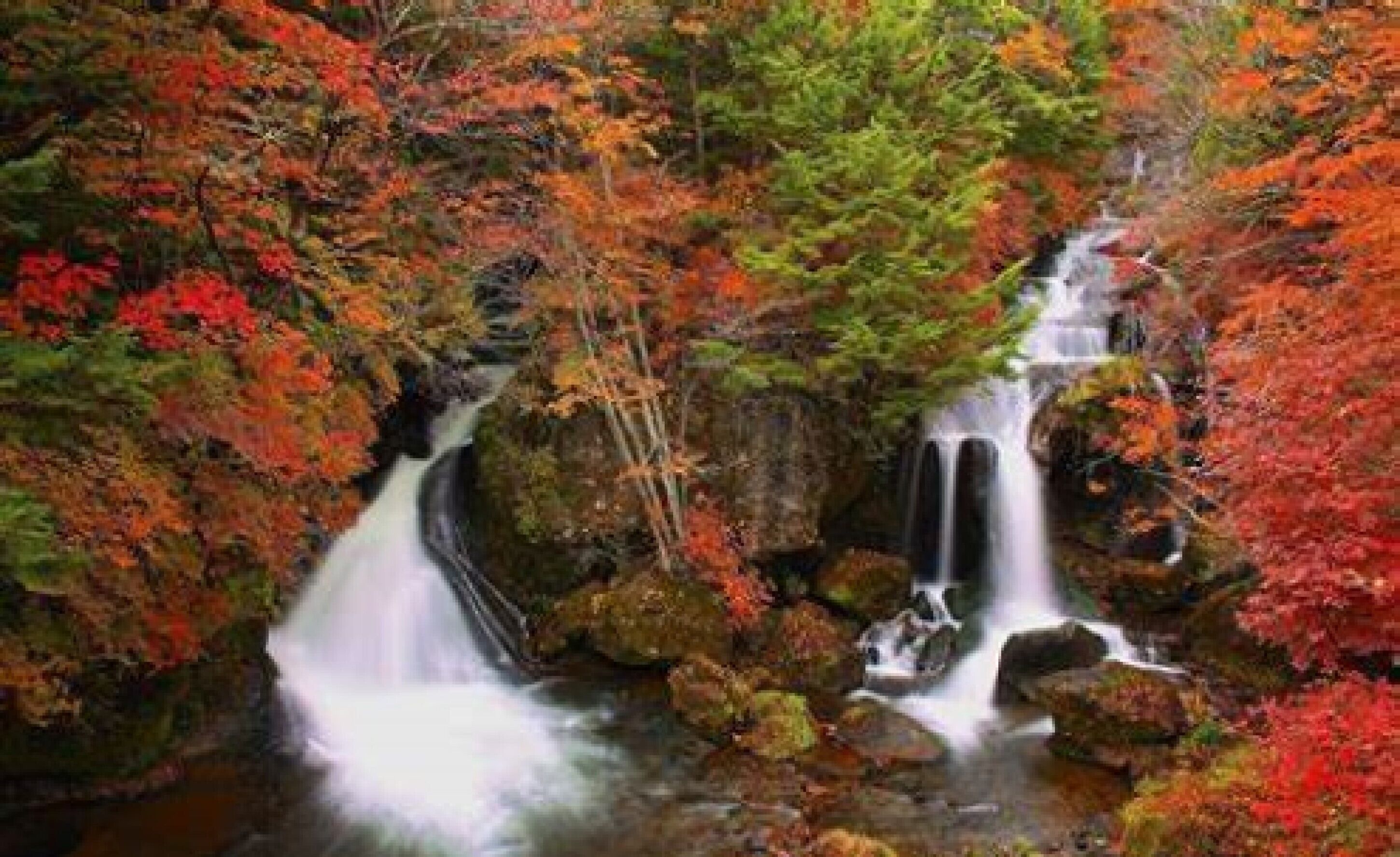 Een waterval omgeven door herfstbladeren.