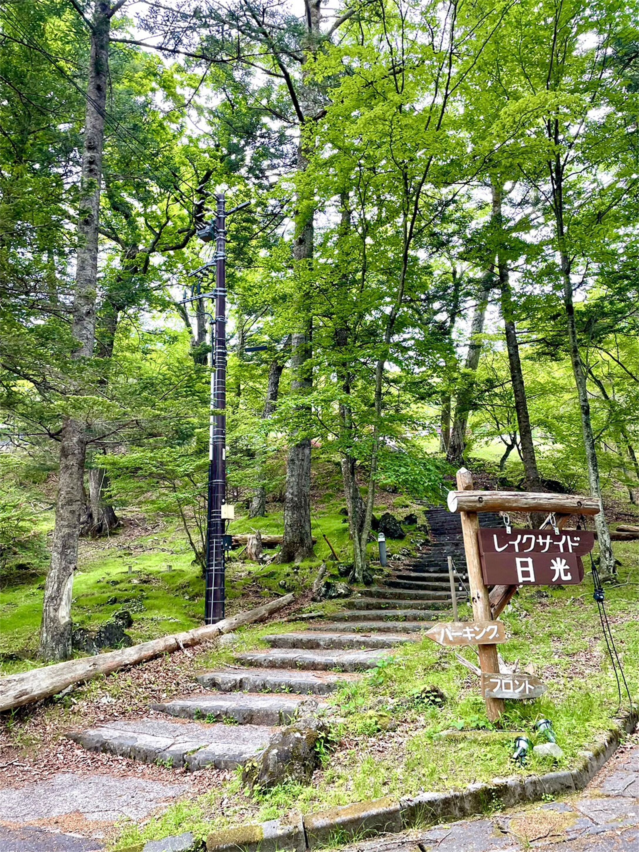 A wooden staircase leading up to a sign with Japanese text, surrounded by lush greenery and trees.