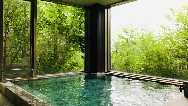 A swimming pool with clear water, surrounded by large windows offering a view of lush greenery. - Lake Side Nikko Hotel (Nikko)