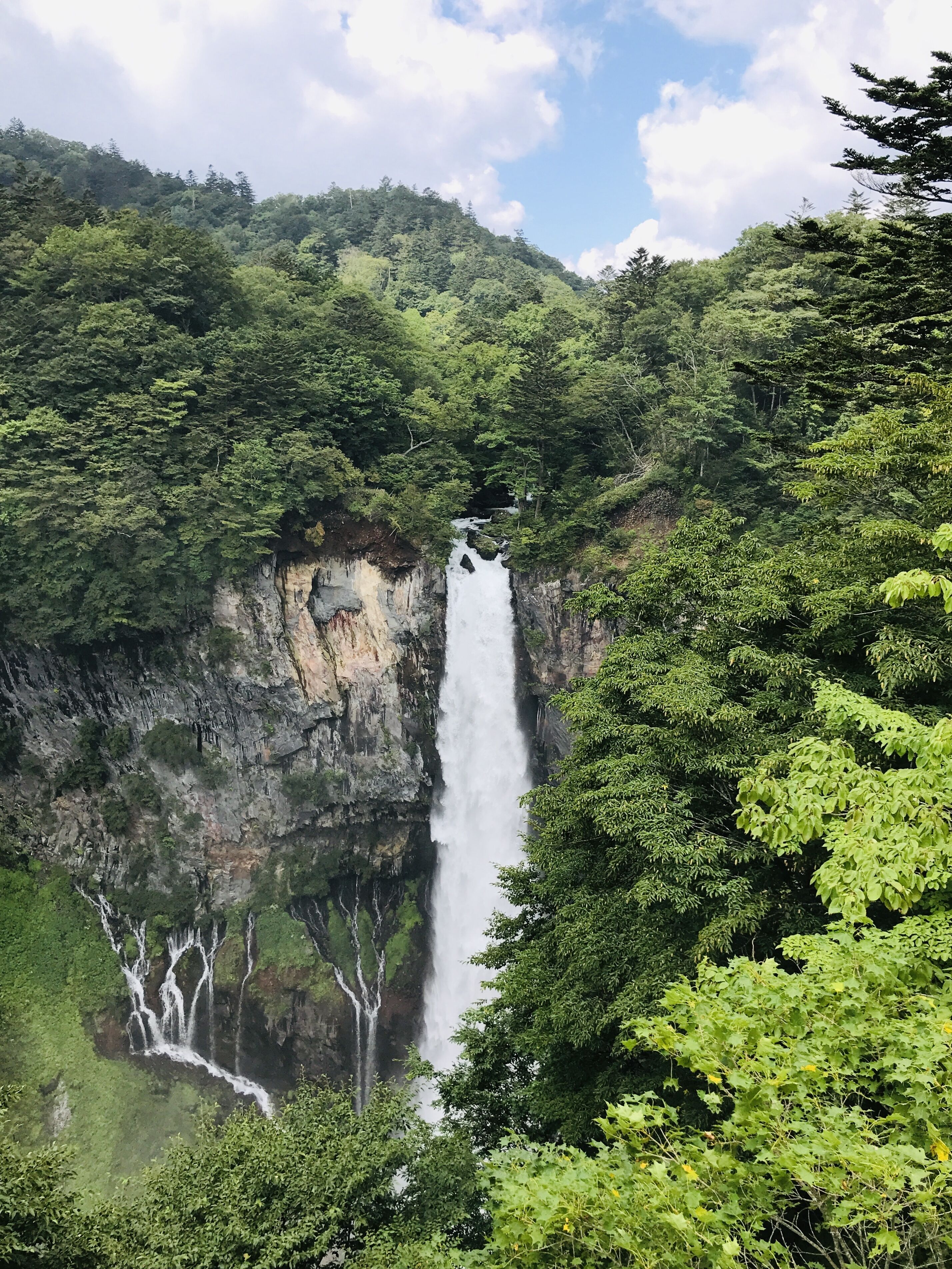 Ein Wasserfall stürzt über eine steile, felsige Klippe, umgeben von dichtem Grün.