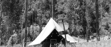 Deluxe Tent | Premium bedding, down duvets, Select Comfort beds