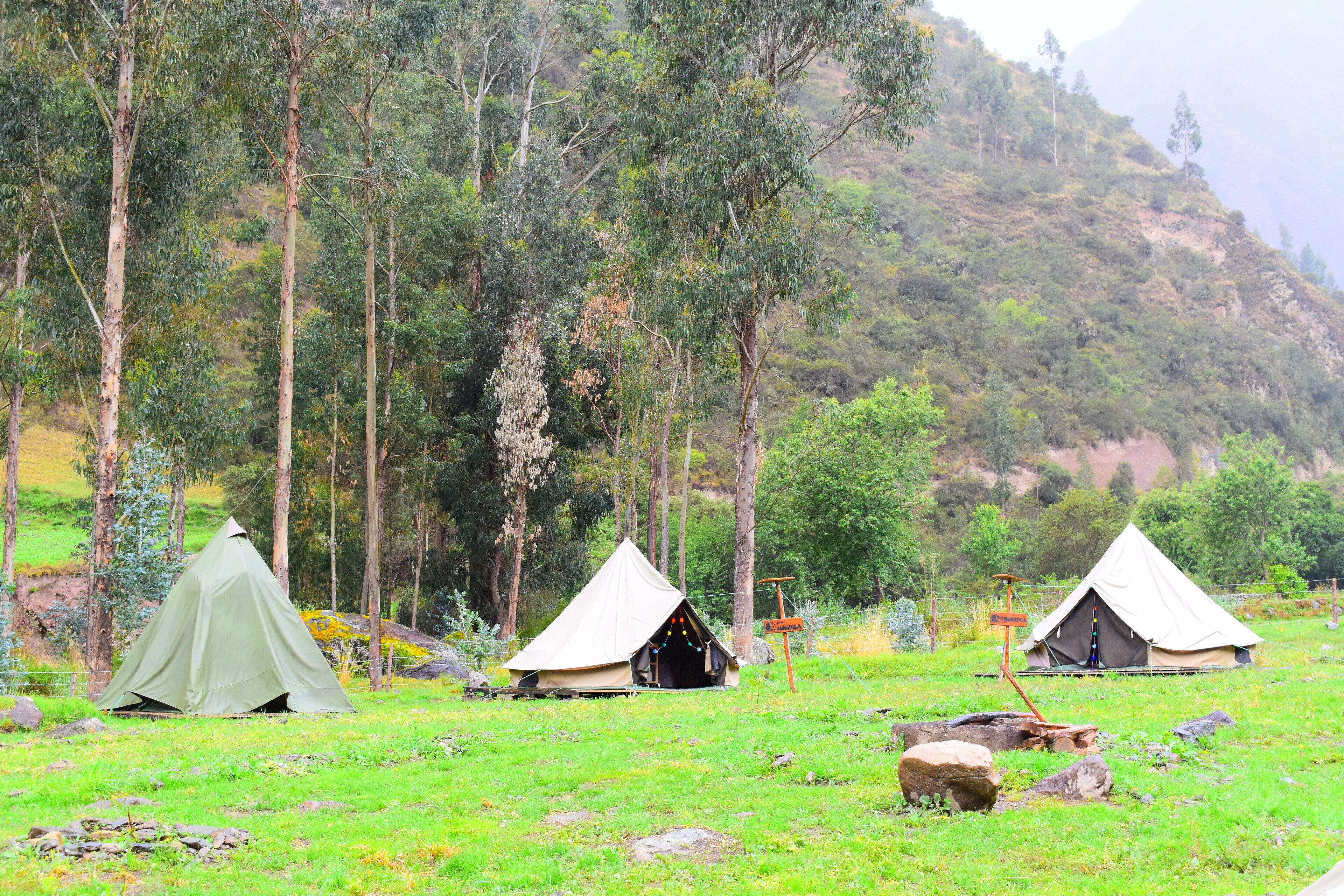 Tenda Comfort, 2 Tempat Tidur Twin, kamar mandi pribadi, area taman | Seprai premium, selimut bulu angsa, dan tempat tidur Select Comfort