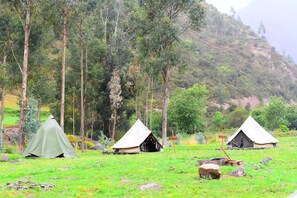 Comfort-Zelt, 2 Einzelbetten, eigenes Bad, zum Garten hin | Hochwertige Bettwaren, Daunenbettdecken, Select-Comfort-Betten