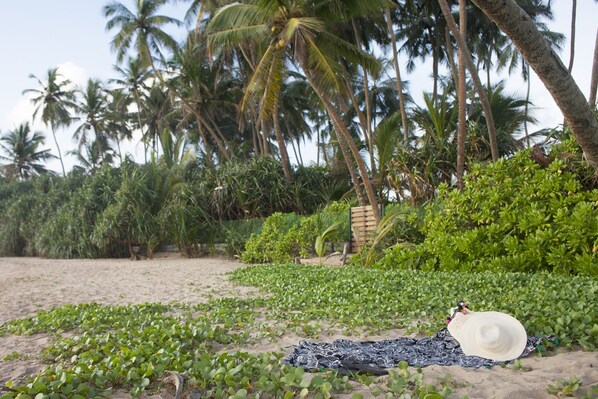 Property grounds - Beachfront villa with pool and full staff (Maggona)