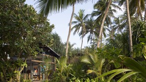A modern house surrounded by lush tropical vegetation, including palm trees and various shrubs. - Beachfront villa with pool and full staff (Maggona)