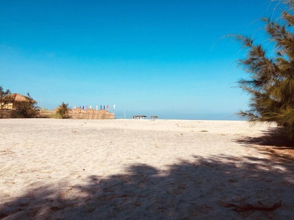 On the beach, beach cabanas, beach volleyball, beach bar