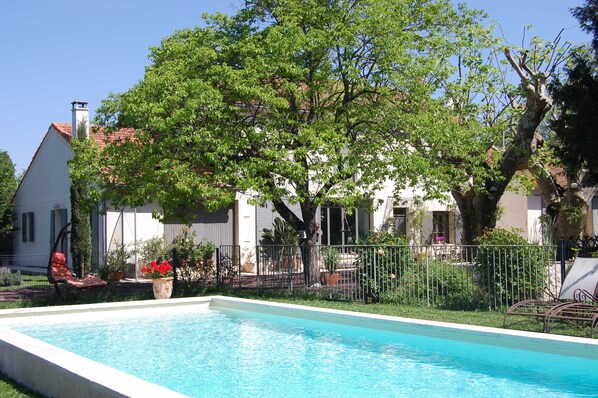 Una piscina con zona de borde blanca, rodeada por una cerca metálica, y un árbol grande en el centro.