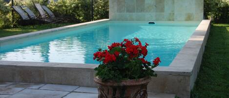 Seasonal outdoor pool, pool loungers