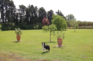 Garden - Mas de la Respelido (Cabannes)