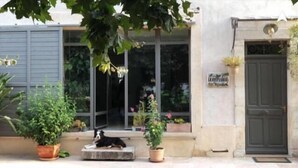 Un edificio con un gran ventanal, un perro sentado en un banco de piedra y plantas en macetas.