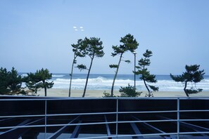 A beach view with pine trees and a railing. - Hotel Juno (Gangneung)