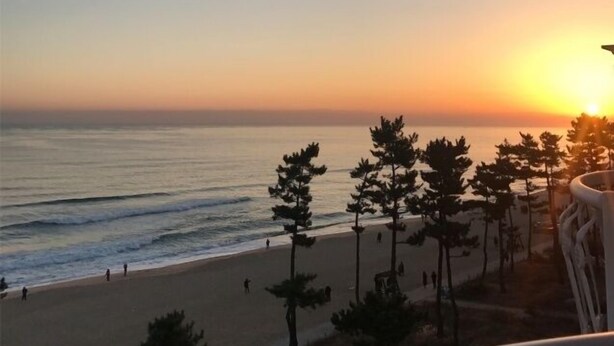 A sunset view from a balcony overlooking a beach with trees and a few people walking. - Hotel Juno (Gangneung)