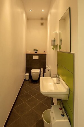 A narrow bathroom with a toilet, sink, and mirror.