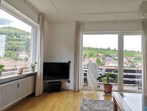 Smart TV, books - Apartment in the South Palatinate (Leinsweiler)