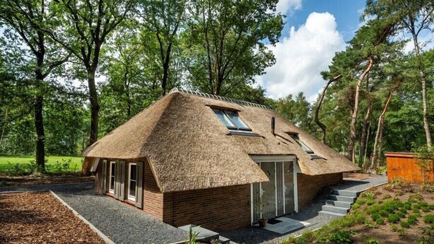 Une maison à toit de chaume, avec une petite fenêtre, une porte et un escalier menant à l’entrée.