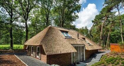 Sprielderbosch 32 Holiday park Veluwe, with luxury and privacy