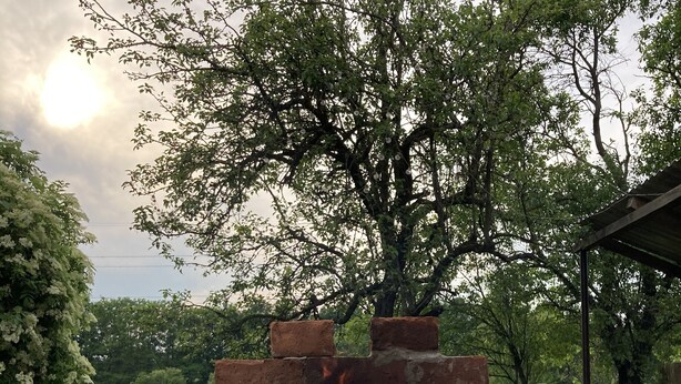 An outdoor brick grill with flames, surrounded by trees and a clear sky. - Szigeti Ház, Szécsisziget (Deák Ferenc utca)