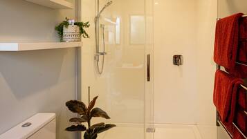 Regadera, secadora de cabello, toallas, jabón