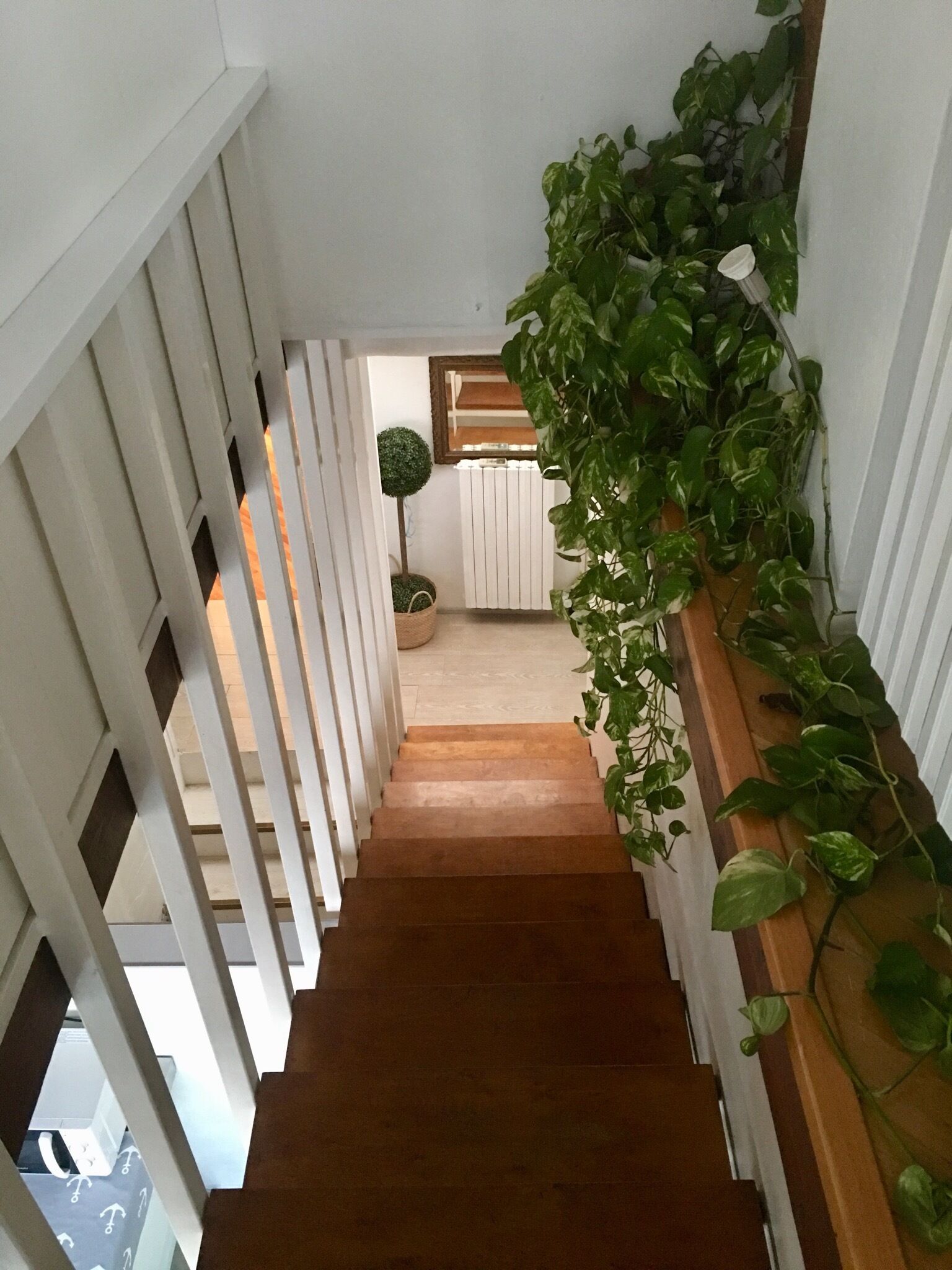 A staircase with white railings and a wooden handrail, leading to a room with a radiator and a small potted plant.