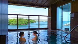 Piscina interior con vista a un cuerpo de agua y vegetación.