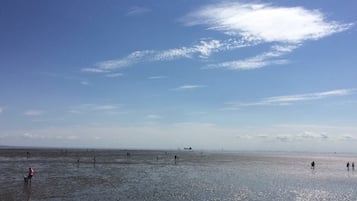 Una spiaggia nelle vicinanze