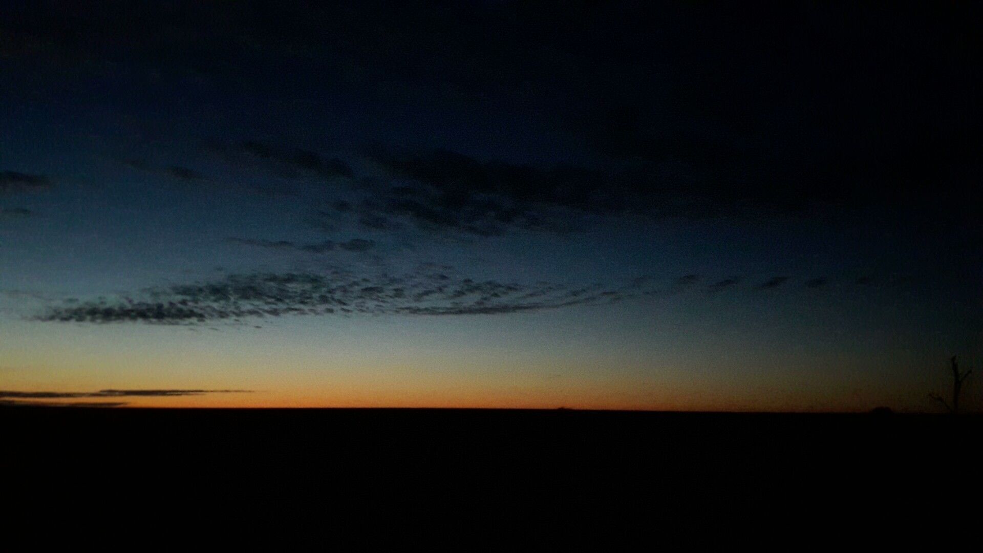 A sunset with a clear sky and a silhouette of a tree.