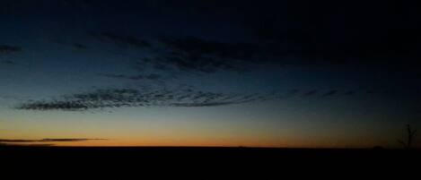 A sunset with a clear sky and a silhouette of a tree.