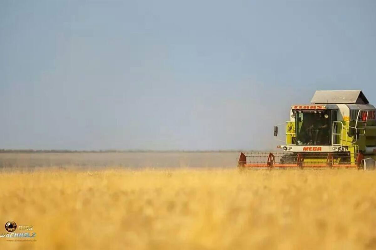 A combine harvester in a field.