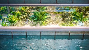 Una piscina con agua cristalina, rodeada de abundante vegetación y una barrera de cristal.
