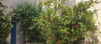 Casa tradicional con encanto