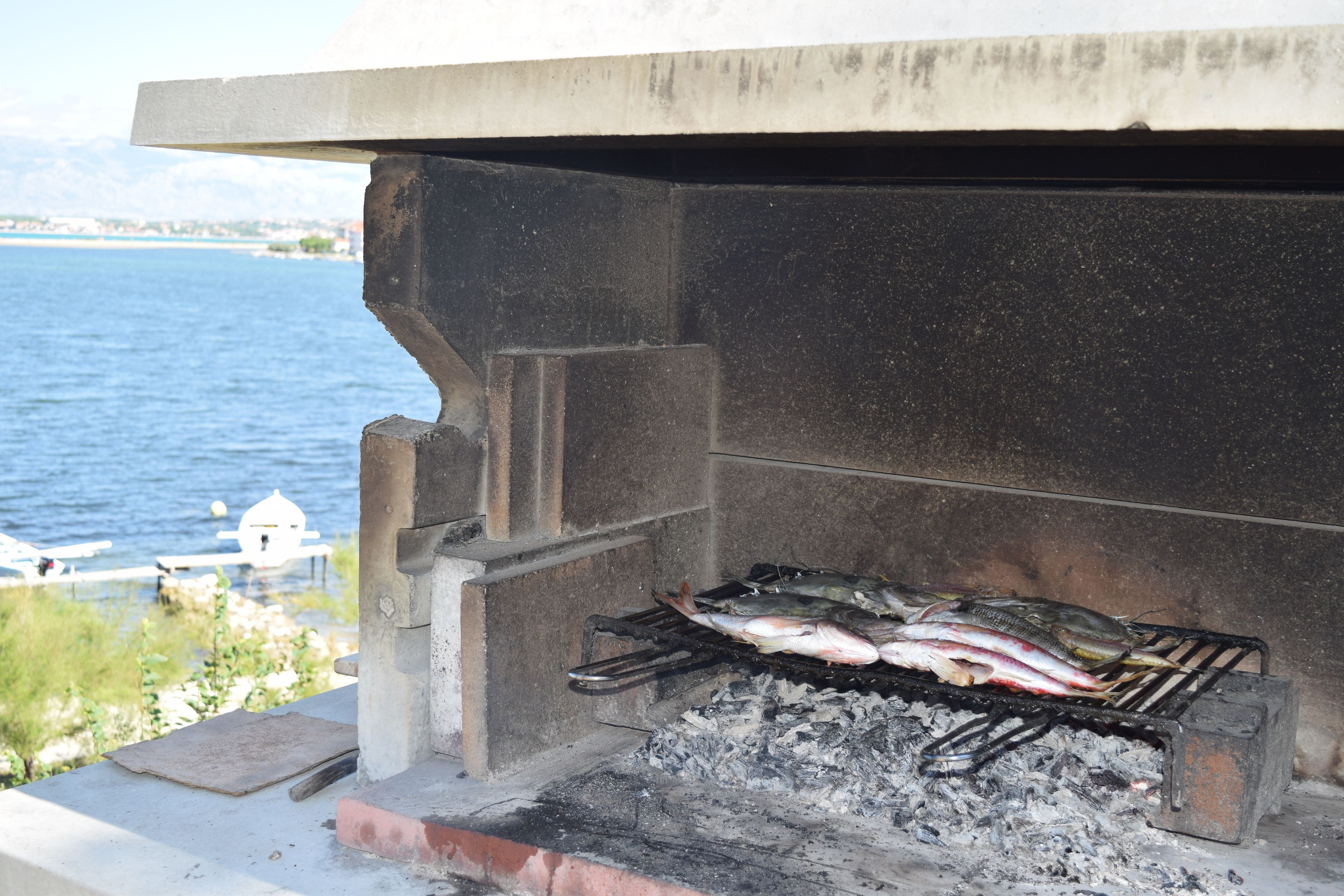 Una parrilla con pescado cocinándose al aire libre, con vista a un cuerpo de agua y una costa distante.