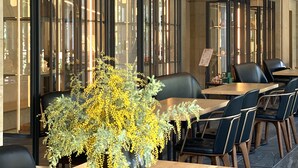 Un intérieur moderne avec une table en bois, des chaises noires et une plante en pot.