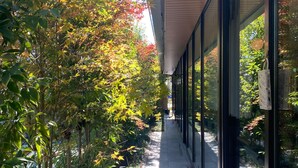 Une allée couverte aux murs de verre, entourée d’arbres aux feuilles vertes et aux couleurs automnales.