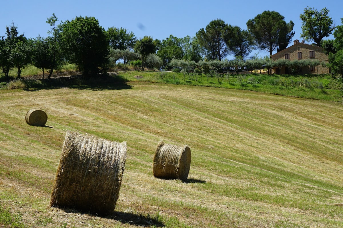 Paisagem rural com fardos de feno e um edifício de pedra ao fundo.