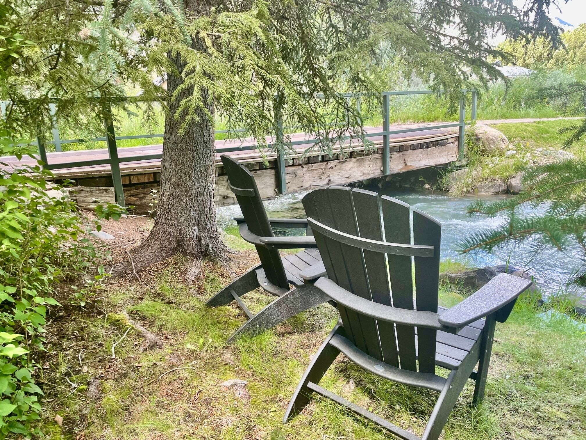 Ein Stuhl in der Nähe eines Baumes und eines Flusses, im Hintergrund eine Holzbrücke.